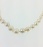 Single Row Graduated Marine Cultured Pearls